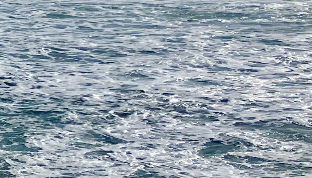 Wildes Meer - Eigene Wege gehen...